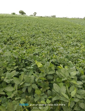 ખાતર વેચવાનું છે