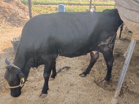 थंबनेल 2