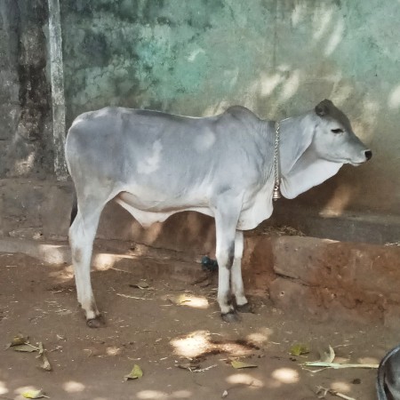 थंबनेल 2