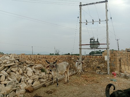 थंबनेल 3