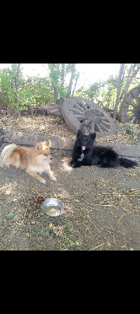 थंबनेल 3