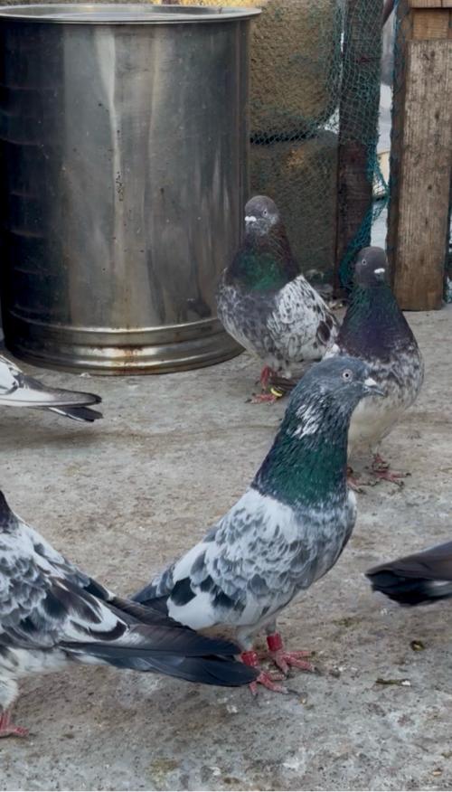 थंबनेल 2