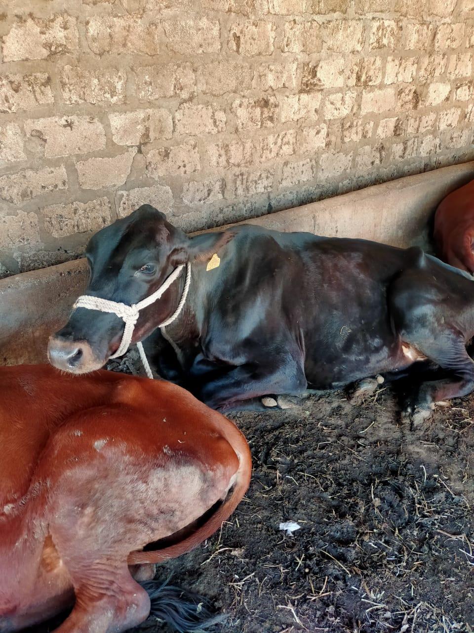 थंबनेल 2