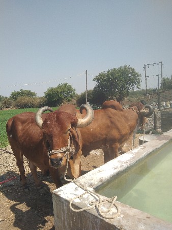 थंबनेल 2