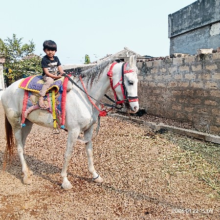 થંબનેલ 2