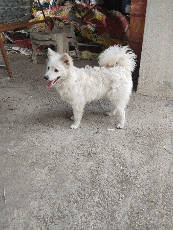 थंबनेल 3