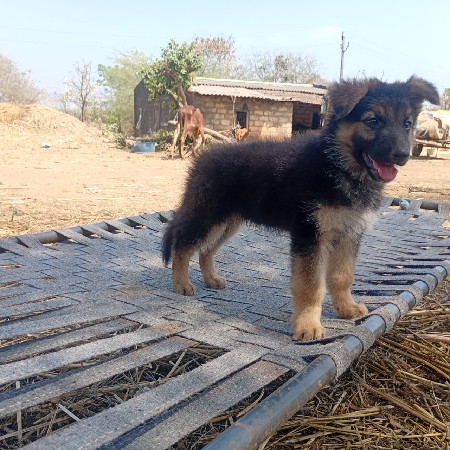 थंबनेल 3