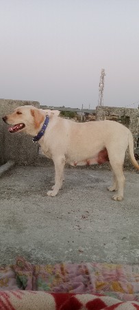 थंबनेल 2