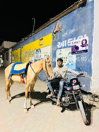 વેચવાની છે સાટા પણ કરવાના છે