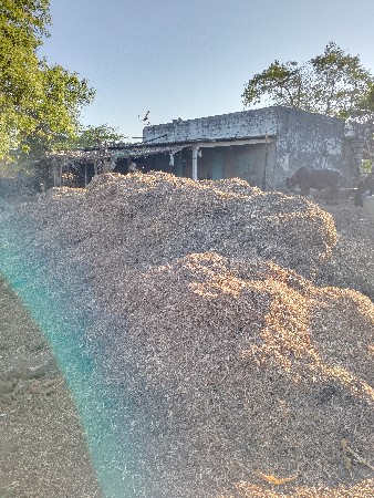 માડયુ વેચવાનું છે