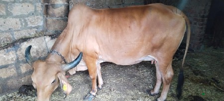 थंबनेल 2