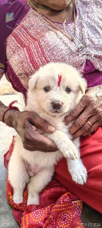 થંબનેલ 2