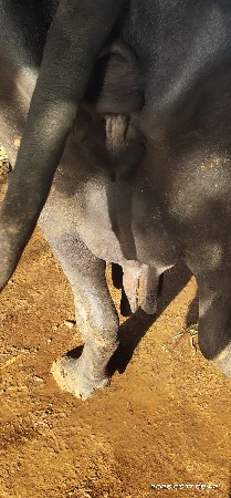 થંબનેલ 1