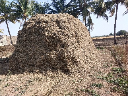 મગફળી નો ભૂકો વેચવાનો છે