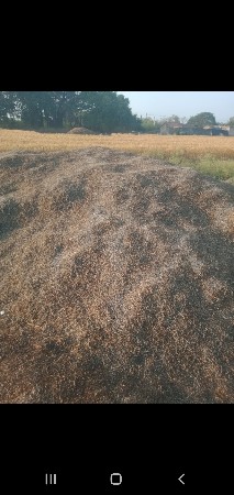 ભૂકો વેચવાનો છે