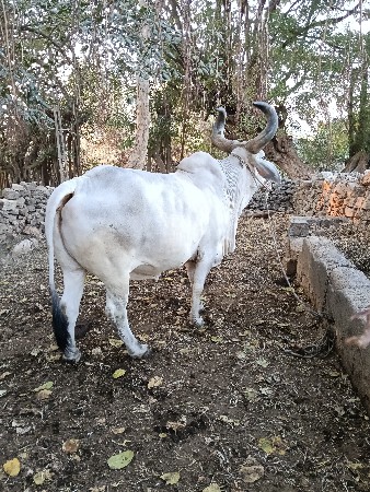 थंबनेल 3