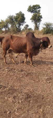 थंबनेल 2