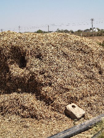 માંડવિયું વેચવાનુ છે