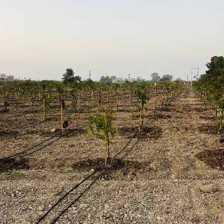 જમીન વેચવાની છે