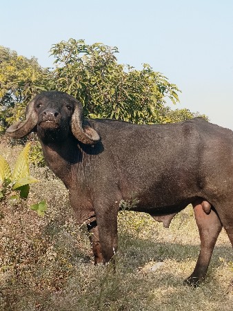 થંબનેલ 3