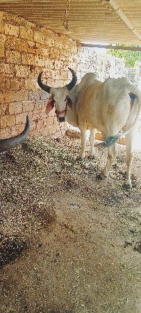 थंबनेल 2