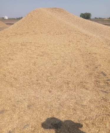 ખારીયુ વેચવાનું છે