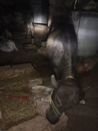 थंबनेल 2