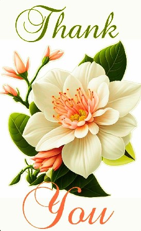 ખેતીની જમીન વેચવાની છે.