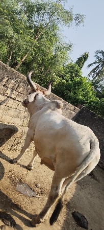 थंबनेल 3