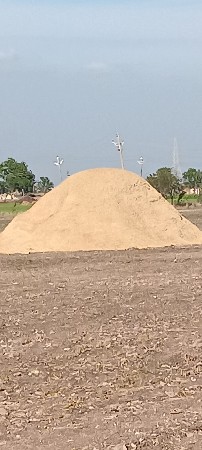 ચણા નો ભૂકો વેચવા નો છે