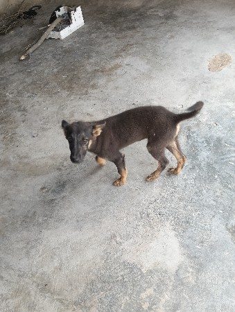 थंबनेल 2