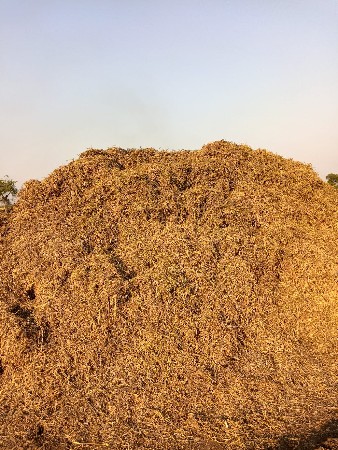 ભુકો વેચવા નો છે.