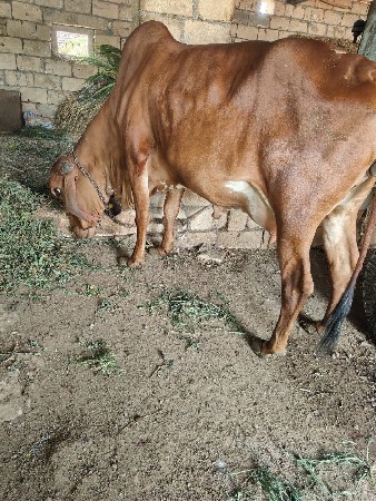 थंबनेल 2