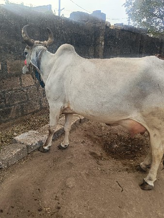 थंबनेल 2