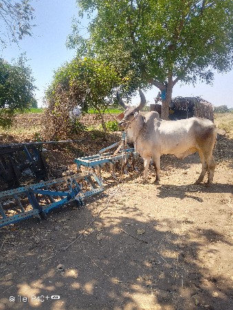 थंबनेल 2