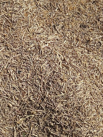 ચણા નું ખર્યું