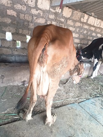 थंबनेल 2