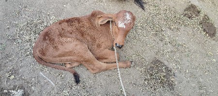 थंबनेल 3