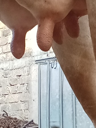 थंबनेल 2