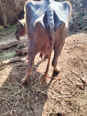 થંબનેલ 2