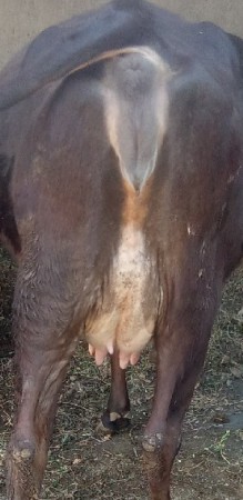 थंबनेल 3