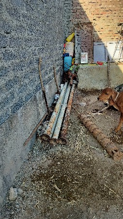 લાઈન તડ પોપ બોથો