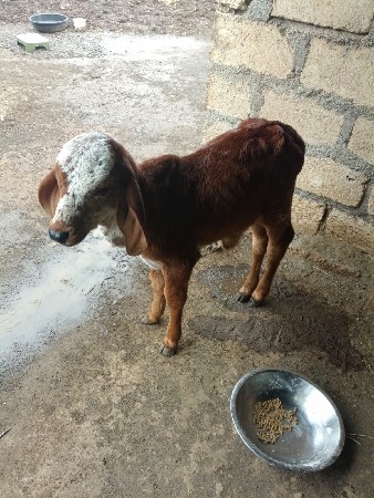 થંબનેલ 2