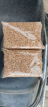 ટુકડા ઘઉં