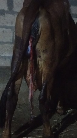 थंबनेल 2