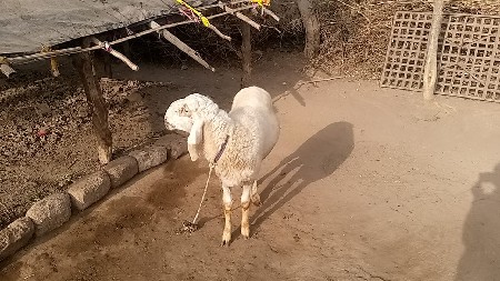 थंबनेल 2