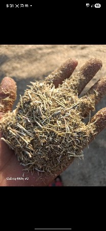 જીરા નો ભુકો વેચવા નો છે