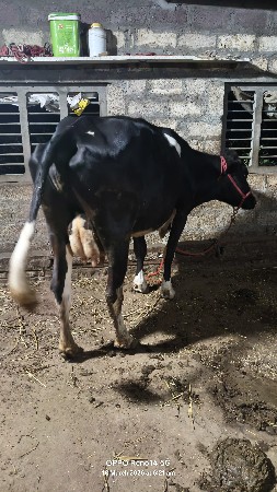 थंबनेल 2