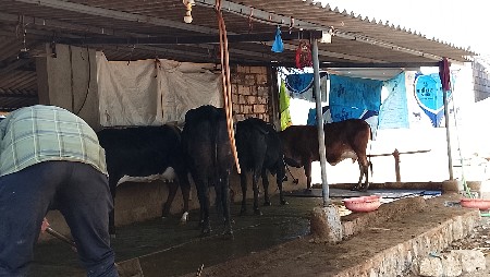 थंबनेल 2