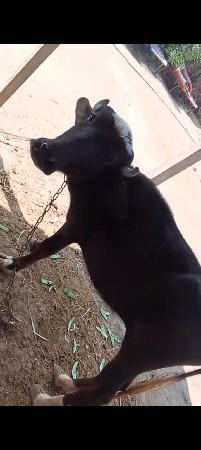 થંબનેલ 3